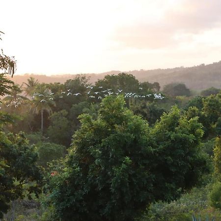 Sumba Nautil Resort Deke Exterior photo